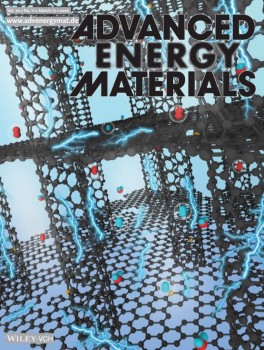 Advanced Energy Materials cover showing a 3D porous structure consisting of carbon nanotubes and graphene layers for oxygen and hydrogen electrocatalytic applications.