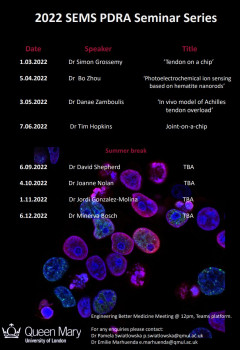 SEMS Biodivision PDRA Seminar Series: Dr David Shepherd (rescheduled)