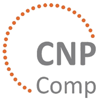 CNPComp2019: The 8th International Conference on Carbon NanoParticle Based Composites