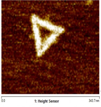 AFM image of DNA Origami triangles with a side length of ~100nm