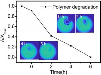 The enzymatic degradation of a polymer was monitored with LAPS images recorded using ZnO nanorods.