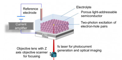 3D-photoelectrochemical imaging will be implemented using porous light-addressable semiconductors on FTO coated glass.