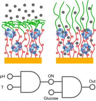 Responsive nanostructured biosensors for the design of biocatalytic gates.