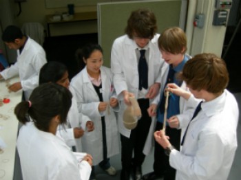 Students taking part in last year's Materials Science Taster Course
